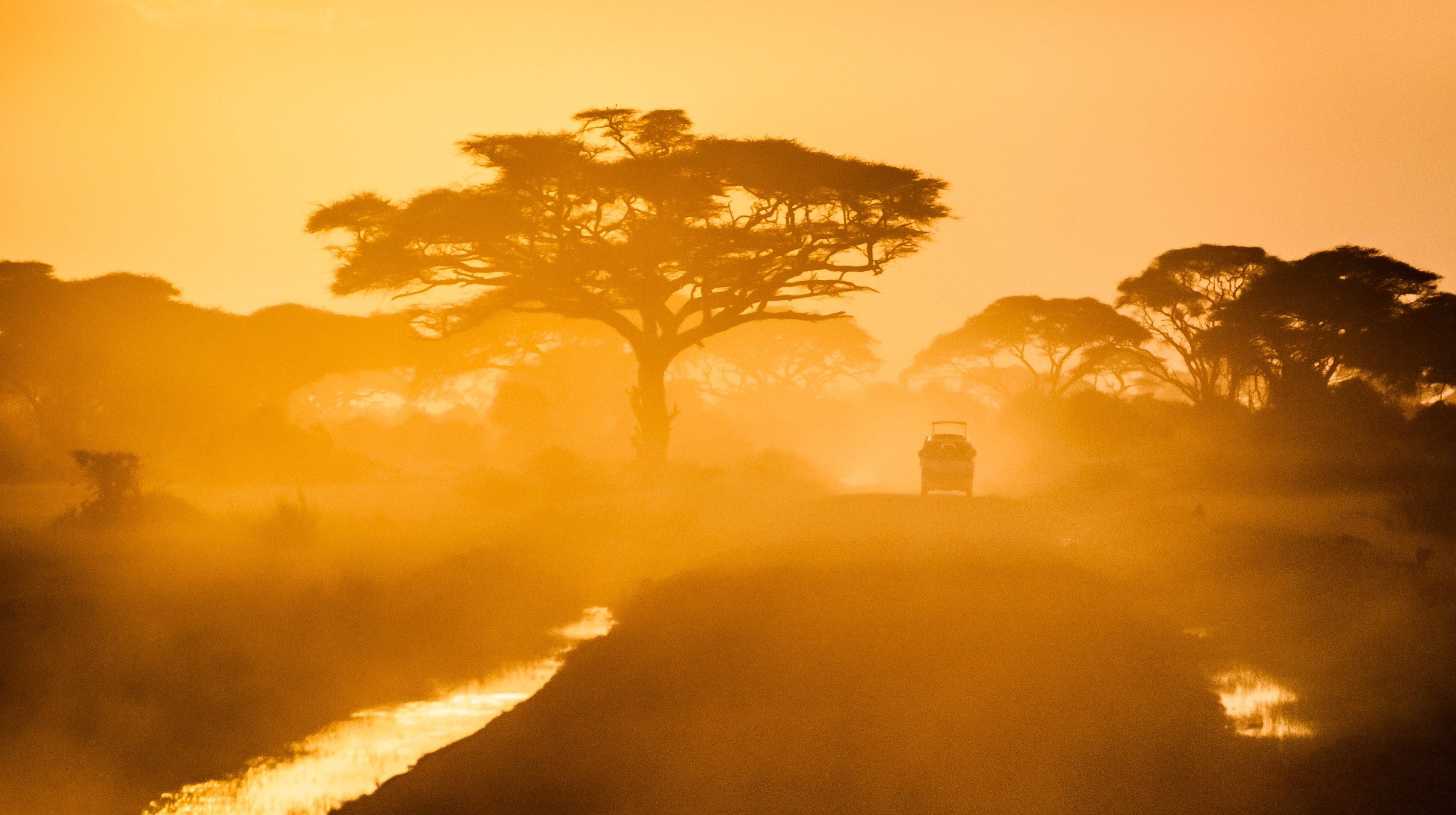 Safari scene in Africa with a Land Rover cruising in the distance.