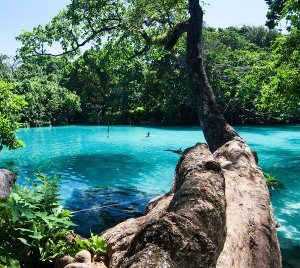 Jamaica Gap Year Programme