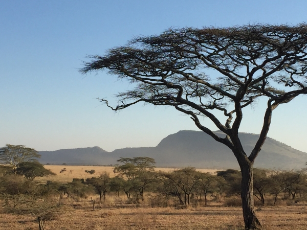 Namibia Gap Year Program