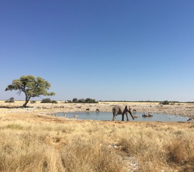 Namibia Gap Year Program