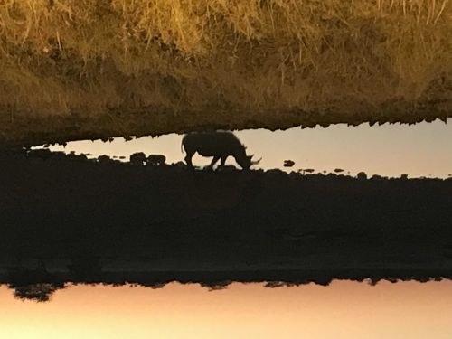 Namibia Gap Year Program