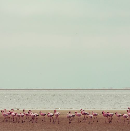 Namibia Gap Year Program