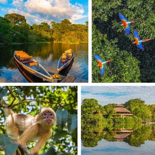 Peru Gap Year Programme