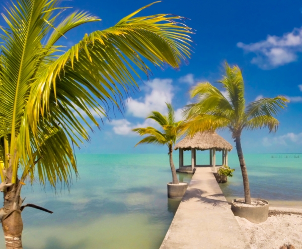 Costa Rica Adventure Programme 2024