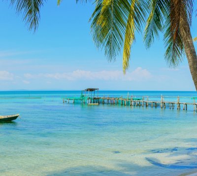 Sunset view from the beach with palm trees in Cambodia.