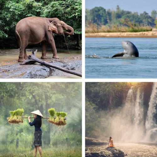 Cambodia Gap Year Programme