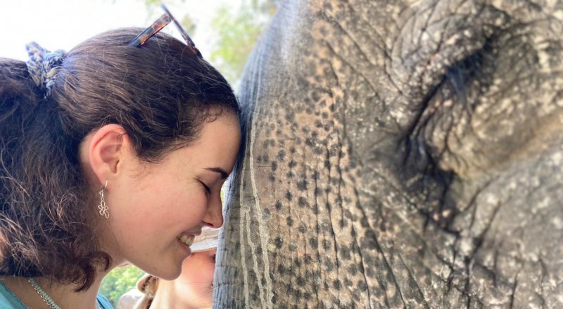 leaper with elephant