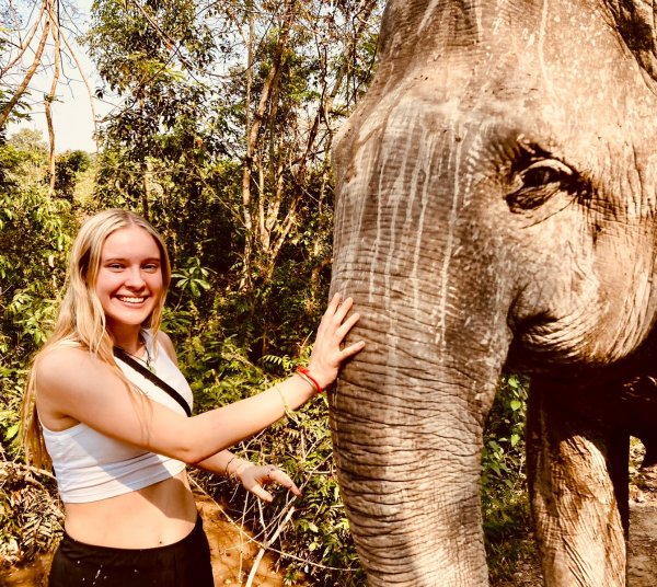 Angkor Wat at sunset in Cambodia.