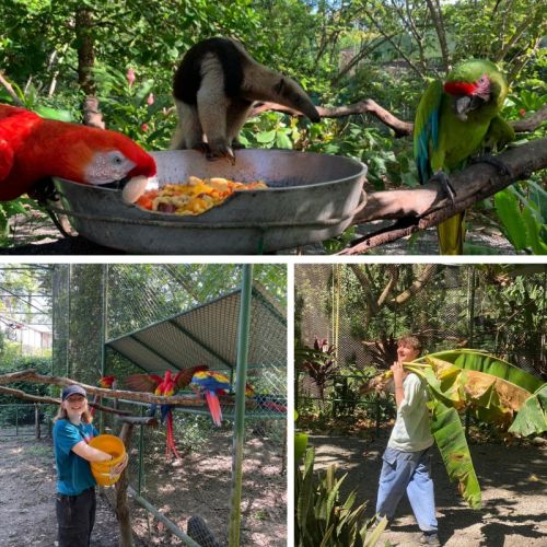 Costa Rica Adventure Programme 2024