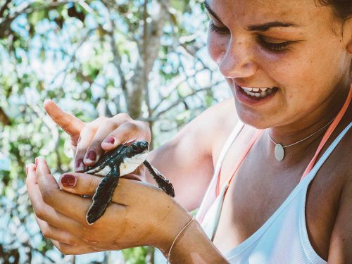 Costa Rica Rewilding