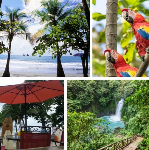 Costa Rica Marine Gap Year Programme