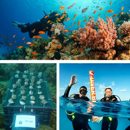 Costa Rica Marine Gap Year Programme