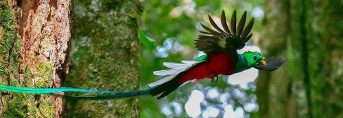 Costa Rica Adventure 2025