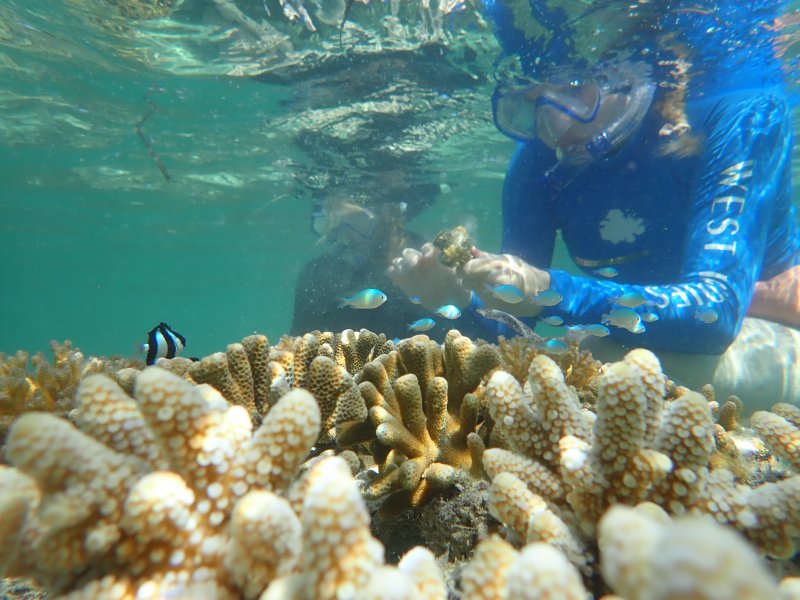 Post Ski Season Ideas