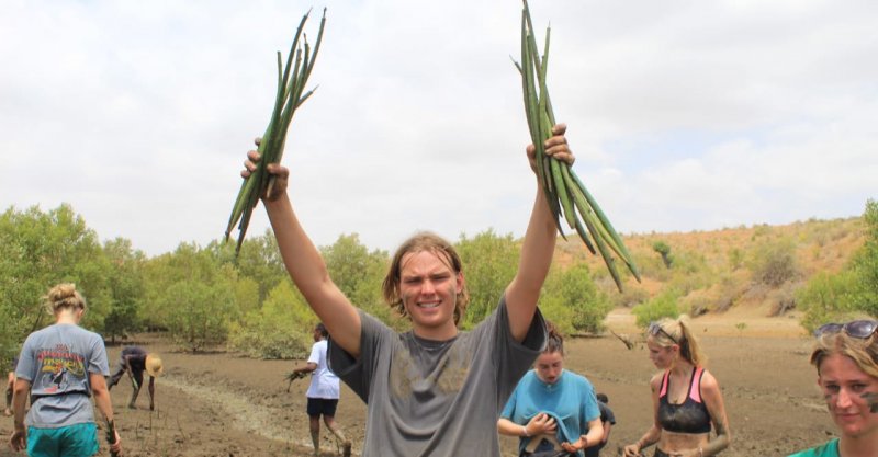 leaper planting mangrove