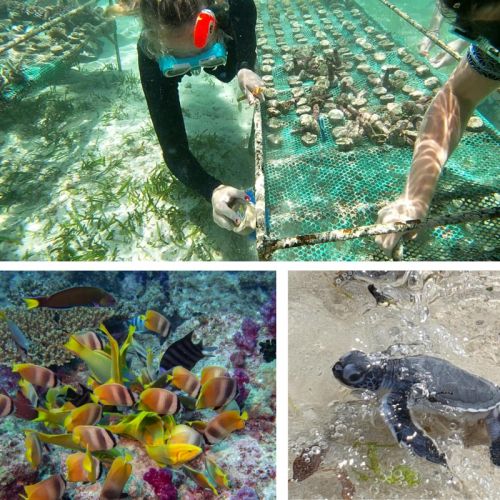 Kenya Gap Year Programme