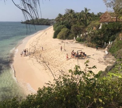 Mangrove planting in Kenya.