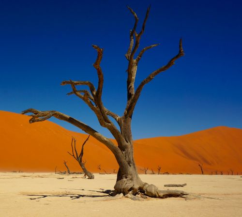 Namibia Gap Year Program