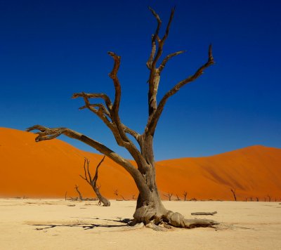 Namibia Gap Year Program