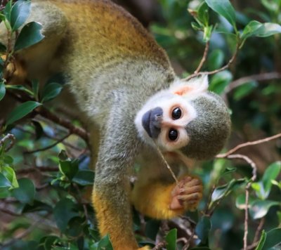 Working the local farmers on their organic farms.