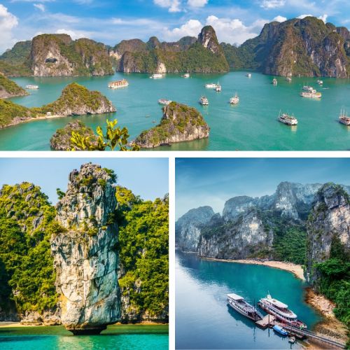 Vietnam Gap Year Programme